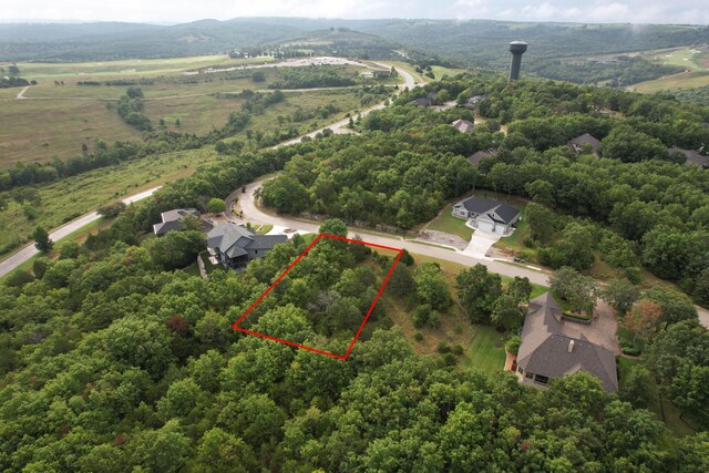 184 Forest Oak Dr, Hollister, MO 65672 - photo 8
