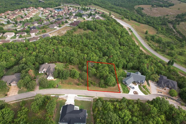 184 Forest Oak Dr, Hollister, MO 65672 - photo 2