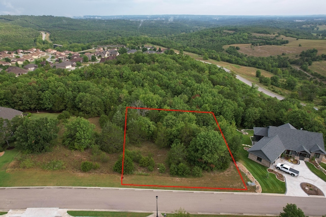 184 Forest Oak Dr, Hollister MO, 65672 land for sale