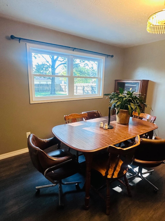 dining room with wood-type flooring and a healthy amount of sunlight