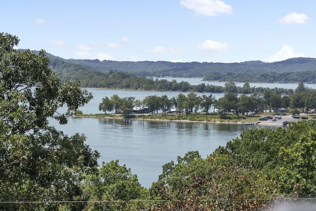 water view featuring a mountain view