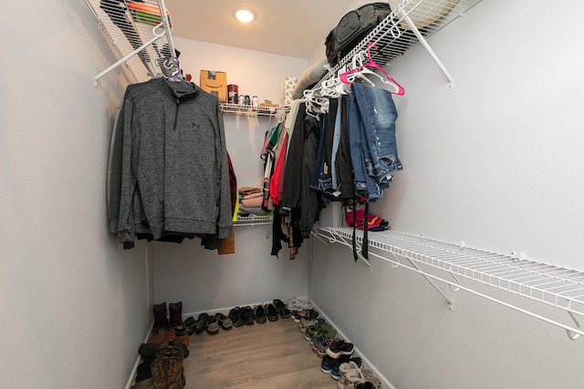 spacious closet with wood-type flooring