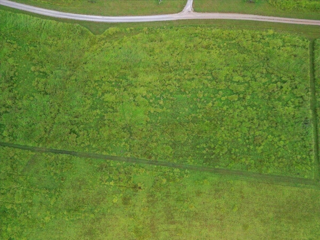 000 Northfork Village Rd, Tecumseh, MO 65760 - photo 10