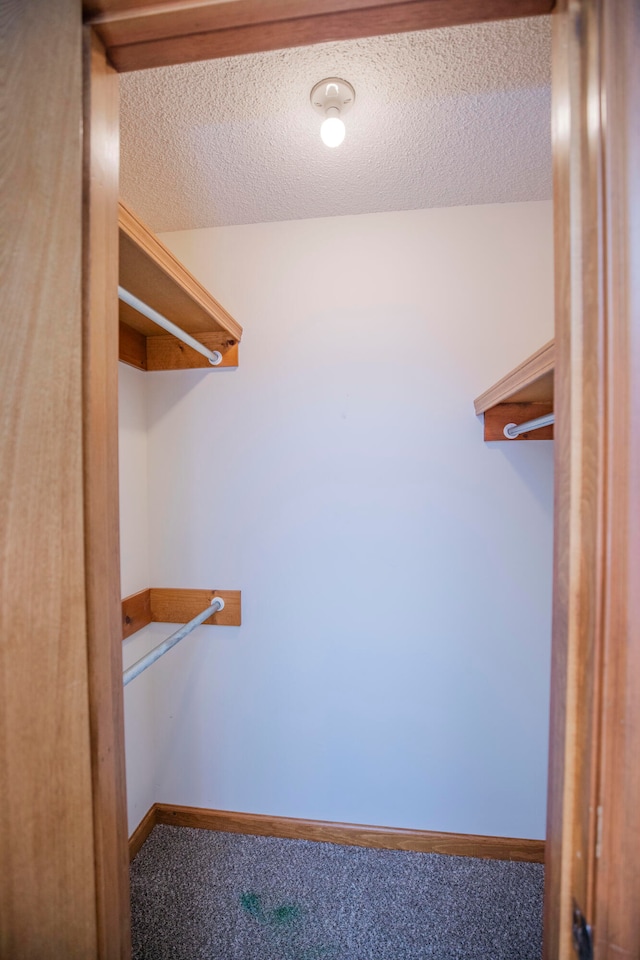 walk in closet with carpet