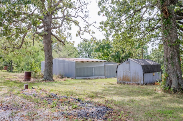 view of yard featuring a shed