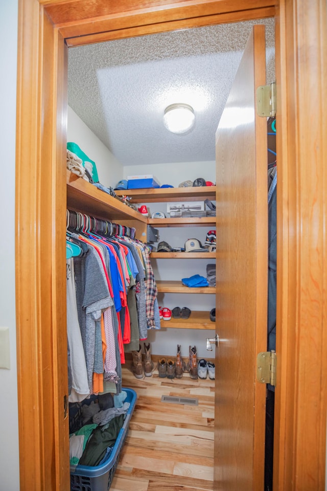 spacious closet with hardwood / wood-style flooring