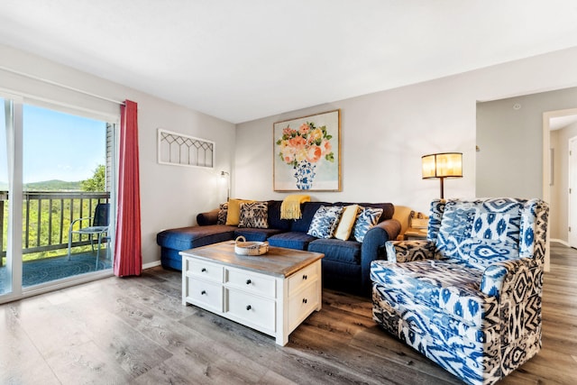 living room with hardwood / wood-style floors