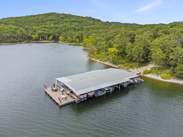 view of dock with a water view