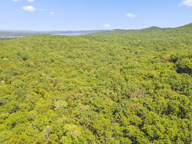 000 Falling Star Rd, Lampe, MO 65681 - photo 2