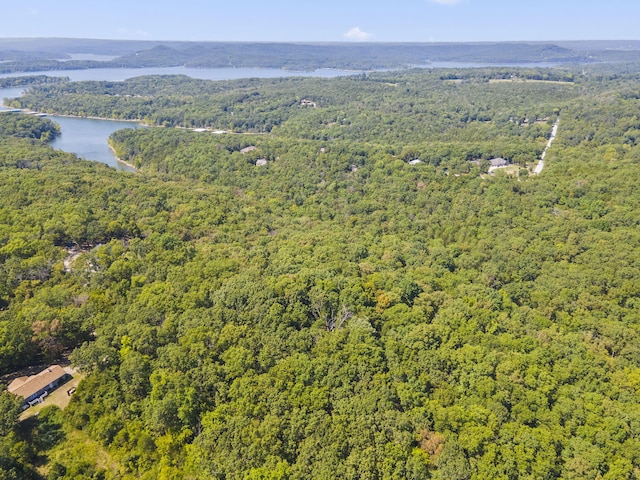 000 Falling Star Rd, Lampe, MO 65681 - photo 5