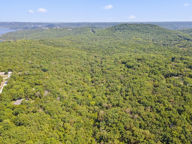 000 Falling Star Rd, Lampe, MO 65681 - photo 4
