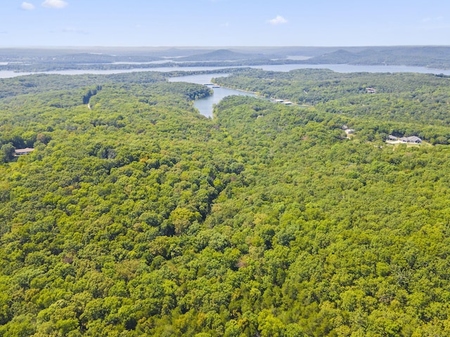 000 Falling Star Rd, Lampe, MO 65681 - photo 3