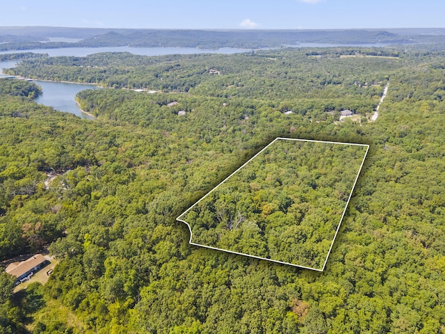 000 Falling Star Rd, Lampe, MO 65681 - photo 1