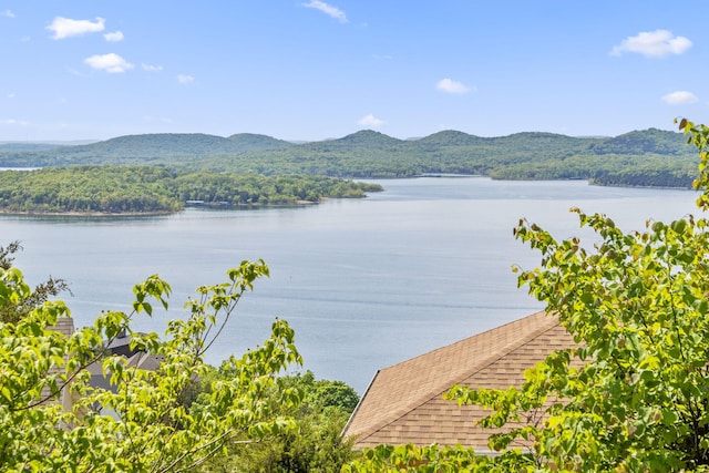 91 Blueview Ln, Kimberling City, MO 65686 - view of water feature with a view of trees