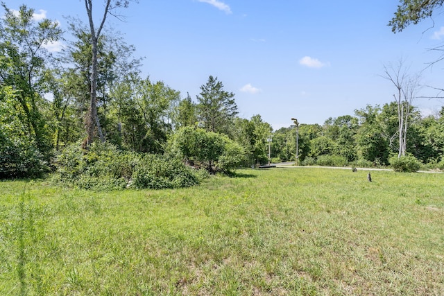 LOT1 Redbud Ln, Kimberling City, MO 65686 - photo 4