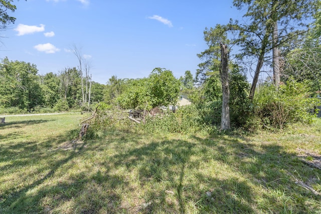 LOT1 Redbud Ln, Kimberling City, MO 65686 - photo 7