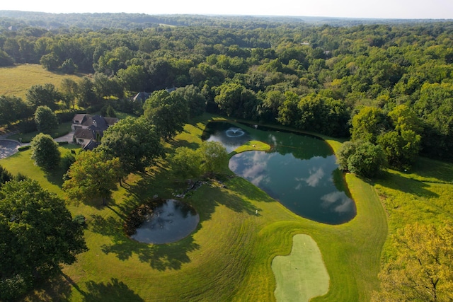 drone / aerial view with a forest view and a water view