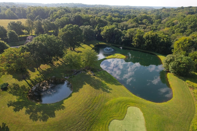 drone / aerial view with a water view and a wooded view