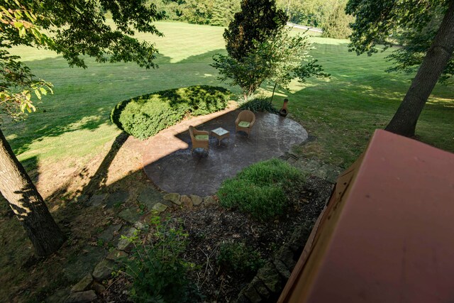 view of yard with a patio area