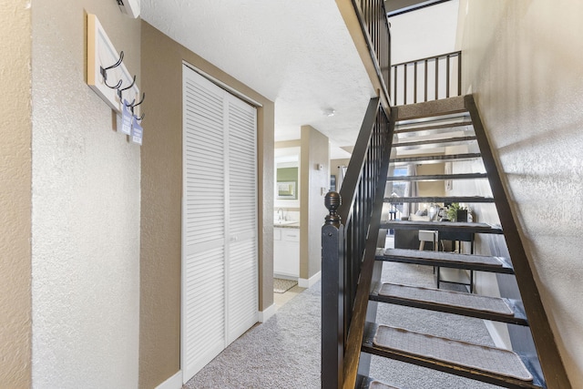 stairs featuring carpet flooring