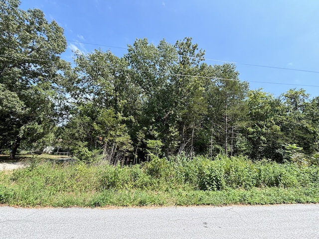 000 Berry Ln, Shell Knob MO, 65747 land for sale