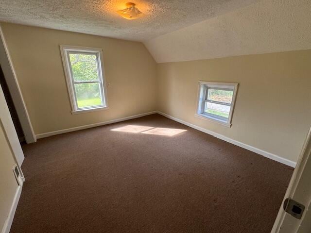 additional living space with a textured ceiling, lofted ceiling, plenty of natural light, and dark colored carpet