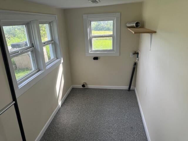 laundry area with carpet floors and plenty of natural light