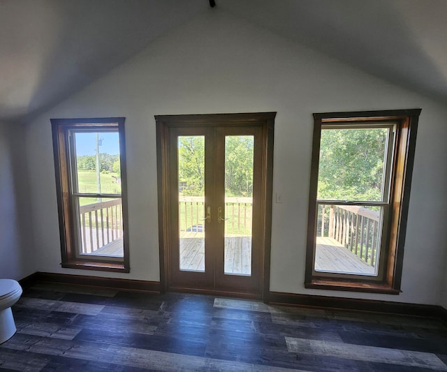 entryway with lofted ceiling, plenty of natural light, and dark hardwood / wood-style floors