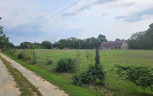 view of yard with a rural view