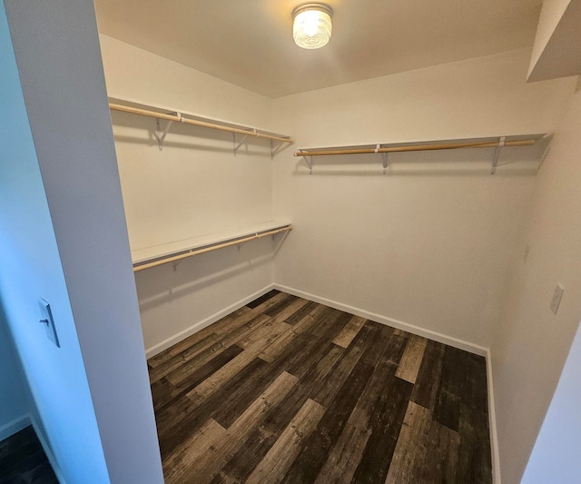 walk in closet featuring dark hardwood / wood-style flooring