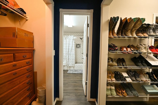 spacious closet with wood finished floors