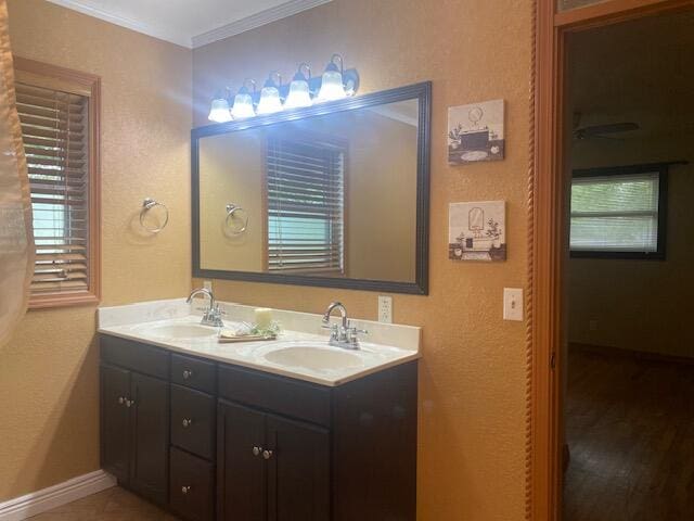 bathroom with crown molding, a wealth of natural light, vanity, and wood-type flooring