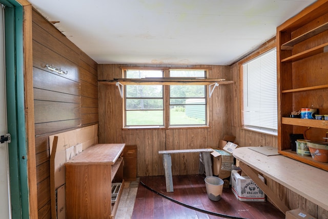 interior space featuring wooden walls and dark wood-type flooring