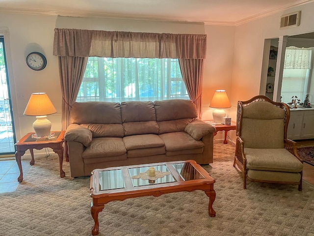 living area featuring a wealth of natural light and ornamental molding