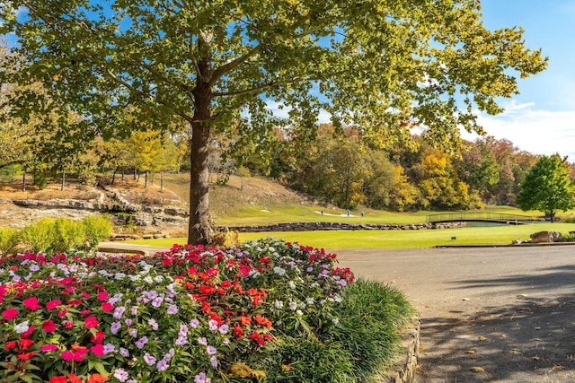 surrounding community featuring golf course view