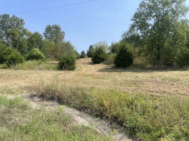 000 S Wommack Ave, Bolivar, MO 65613 - photo 6