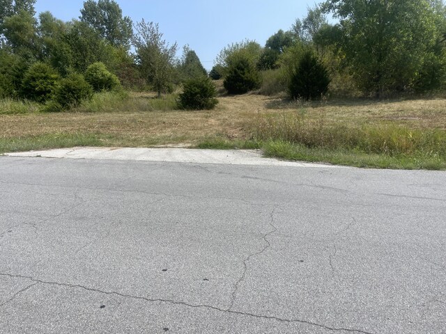 000 S Wommack Ave, Bolivar, MO 65613 - photo 5