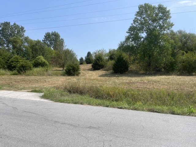 000 S Wommack Ave, Bolivar, MO 65613 - photo 7