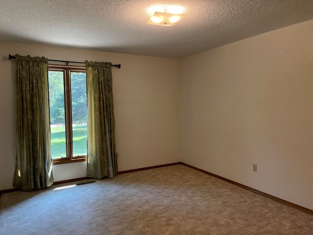 empty room featuring carpet floors, a wealth of natural light, and a textured ceiling