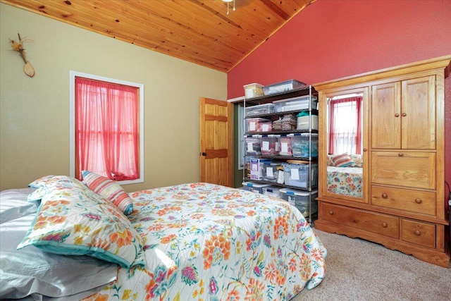 103 County Road 134, Wasola, MO 65773 - photo 16