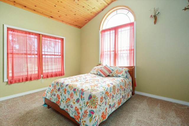 103 County Road 134, Wasola, MO 65773 - photo 15