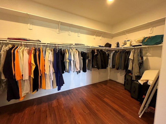 spacious closet featuring dark wood-type flooring