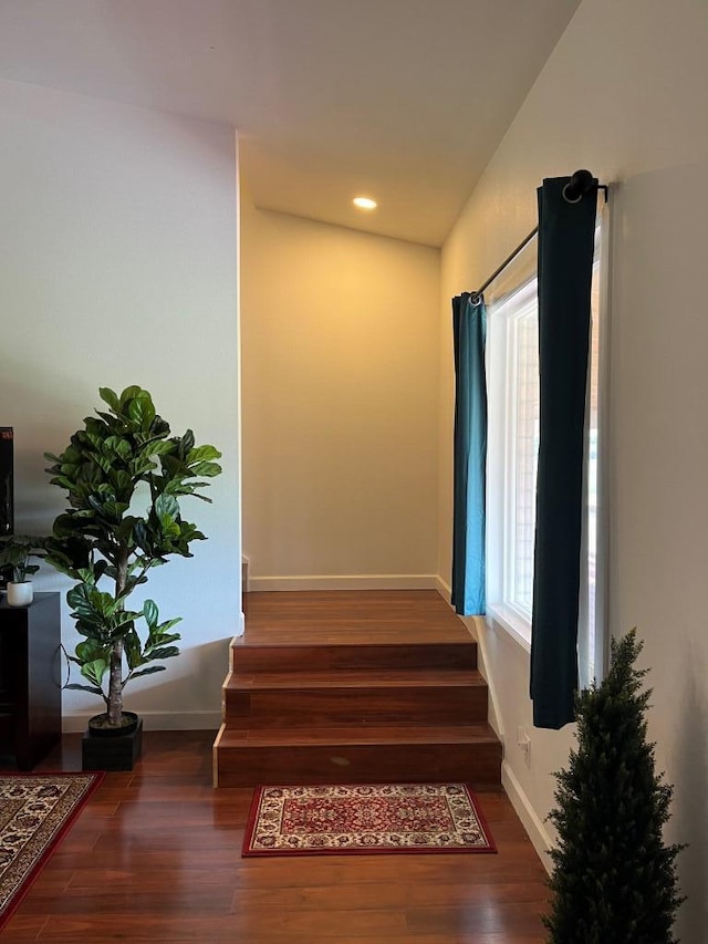 staircase with wood-type flooring