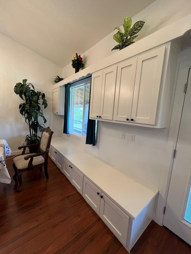 interior space with dark hardwood / wood-style floors