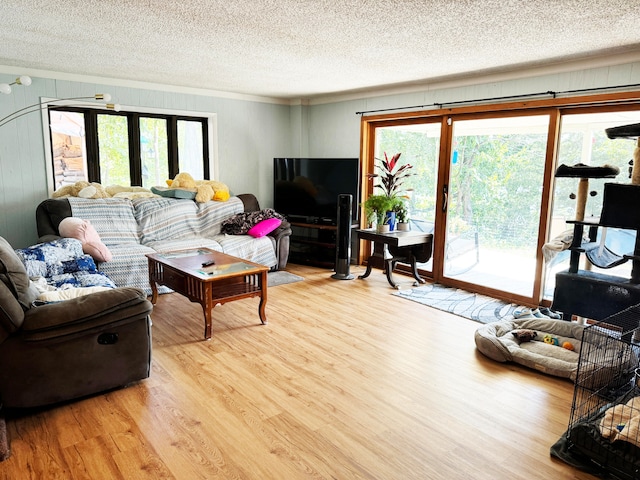 living room featuring a textured ceiling, light hardwood / wood-style flooring, and a wealth of natural light