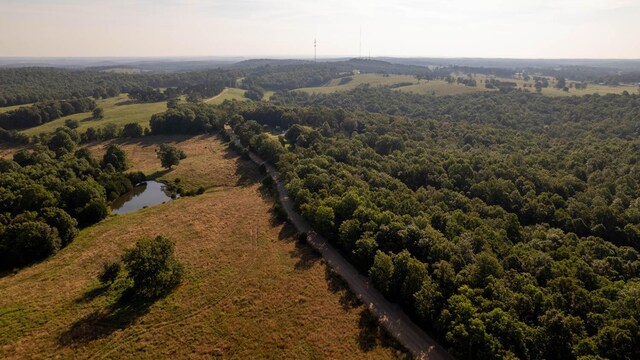 1746 County Road 248, Thayer, MO 65791 - photo 54