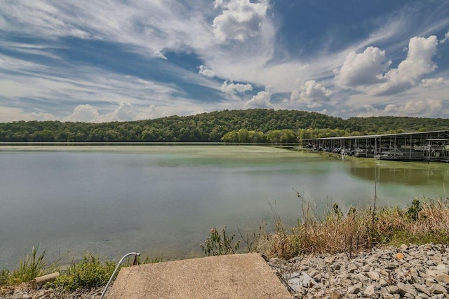 property view of water featuring a view of trees
