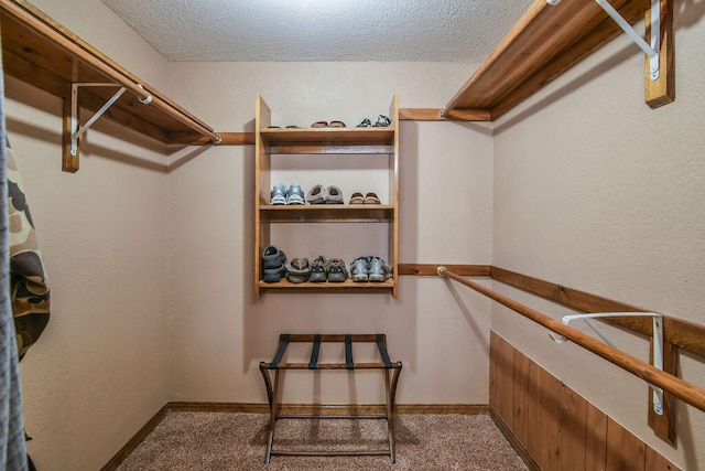 spacious closet featuring carpet