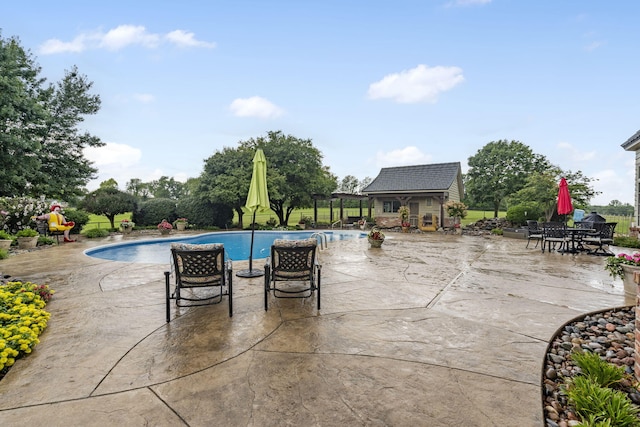 view of swimming pool with a patio