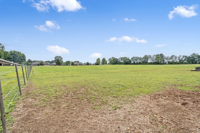 view of yard with a rural view